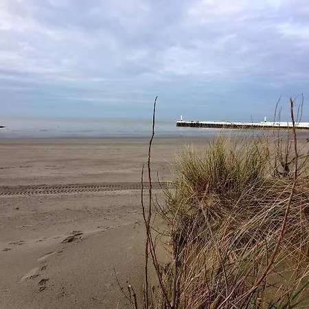 Ysermonde Fisherman's *